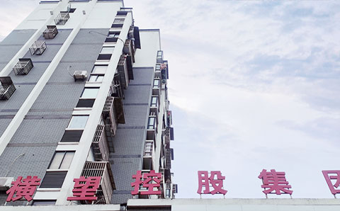 獻策“十四五”規(guī)劃編制，助力橫望集團高質(zhì)量發(fā)展