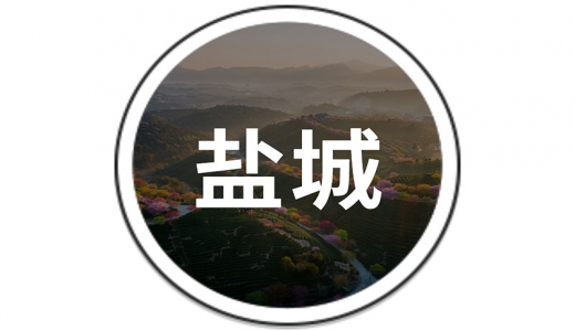   鹽城：設(shè)立30億的還貸過橋資金池、20億債務(wù)風(fēng)險化解周轉(zhuǎn)金